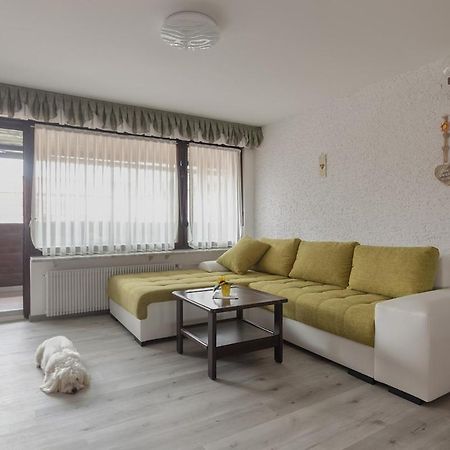 Family Apartment Nakiteya Ljubljana Eksteriør billede